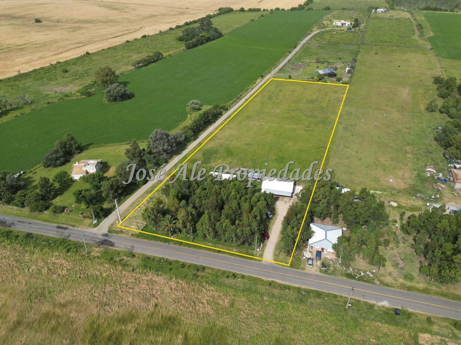 2631_WhatsApp Image 2026-01-19 at 14.11.49.jpeg